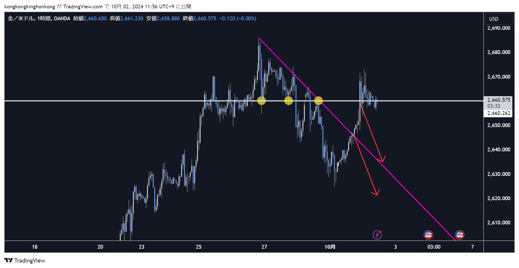 Fx ゴールド 予想 (99) 사진