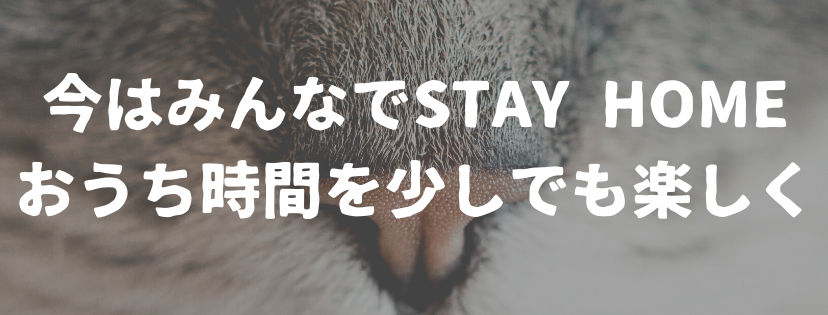 Simple Cat Quote Facebook Cover.png