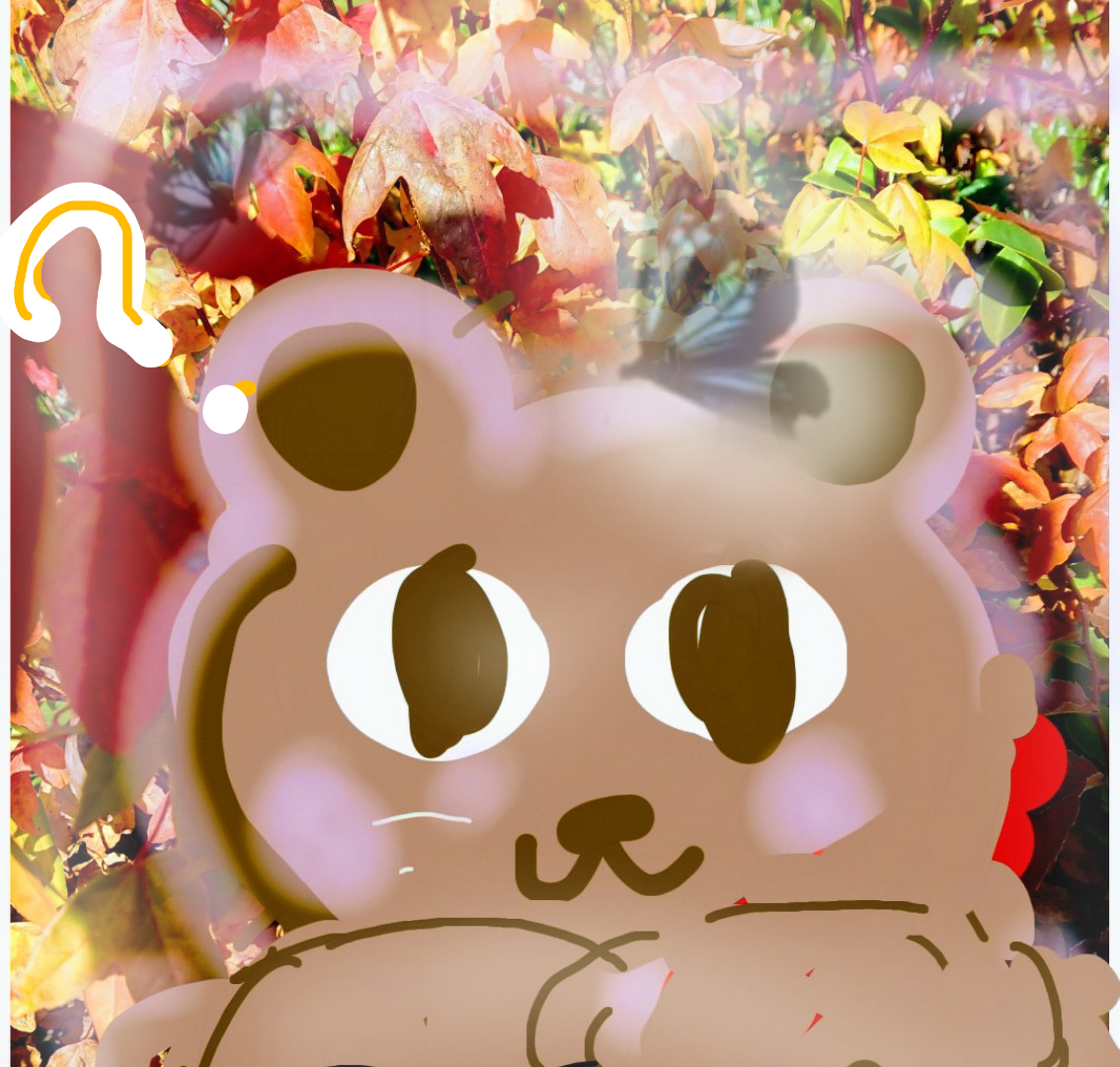 sketch-1731405834838.png