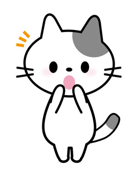 そうなんだ！猫.jpeg