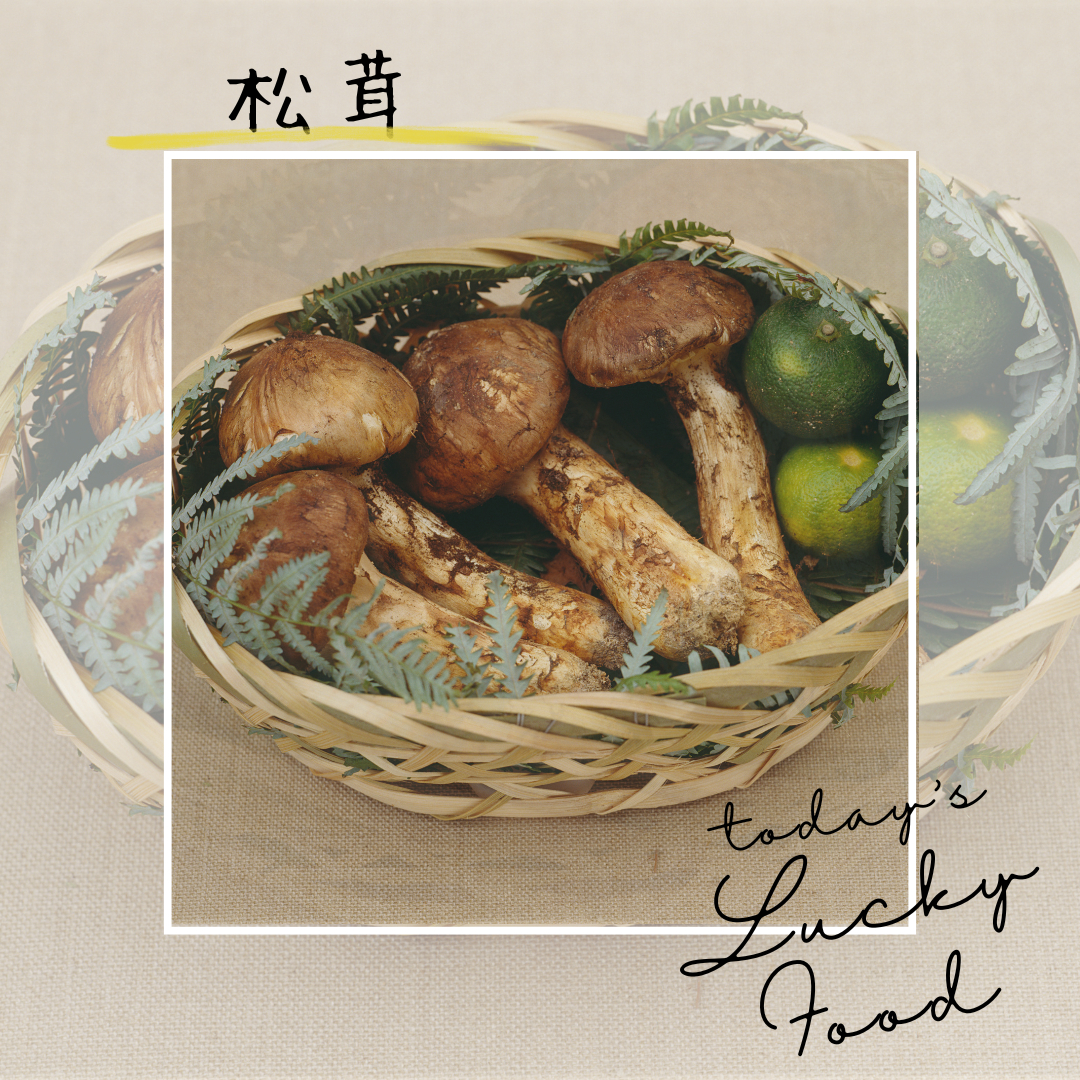 松茸.png