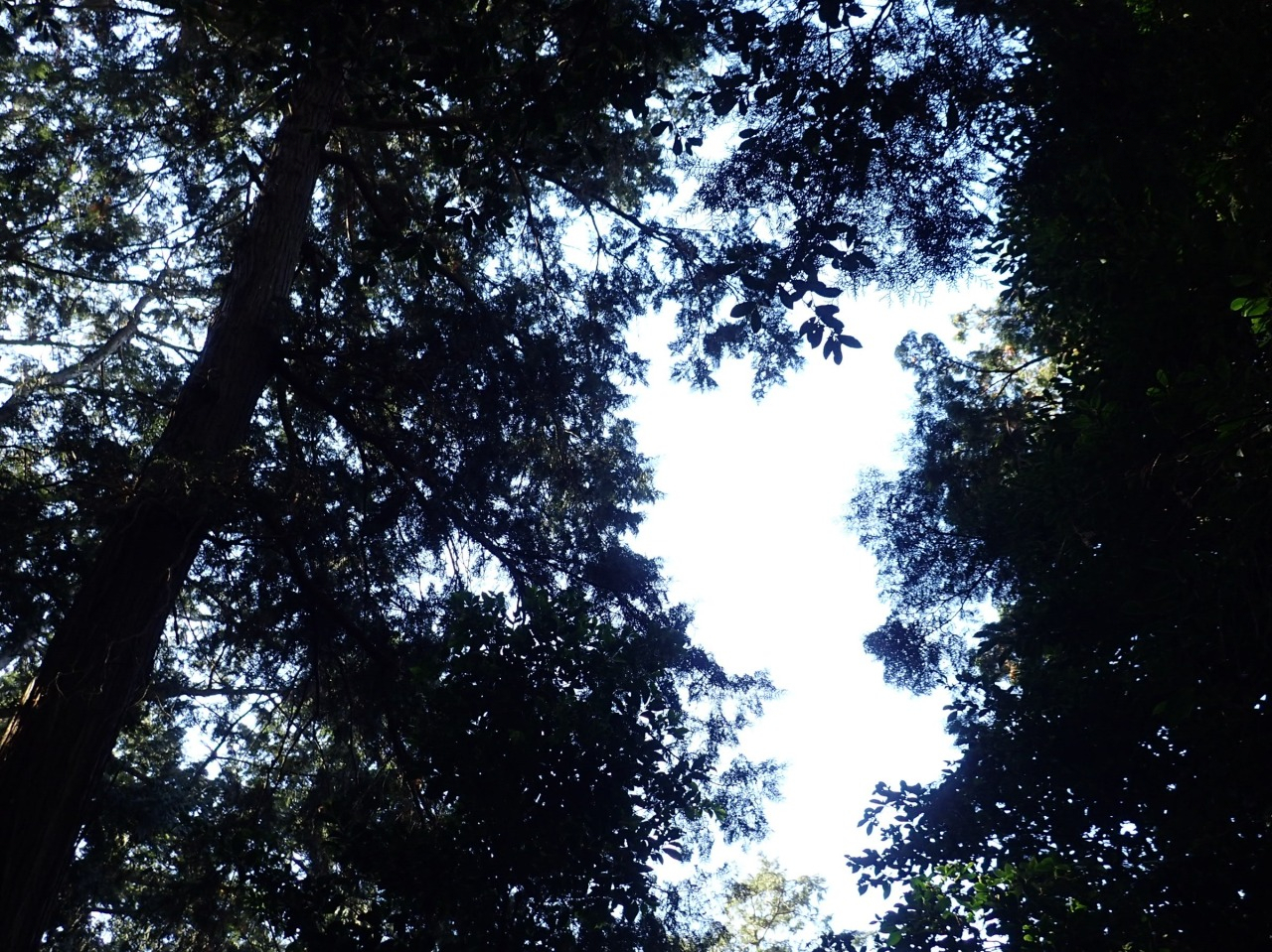 PC310202.JPG