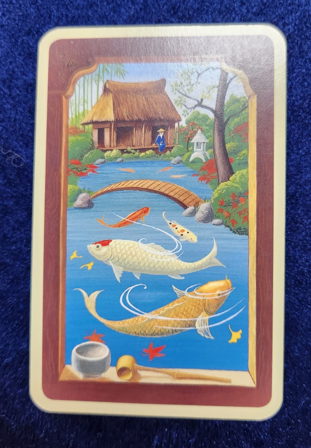 20230922_083550 (002).jpg