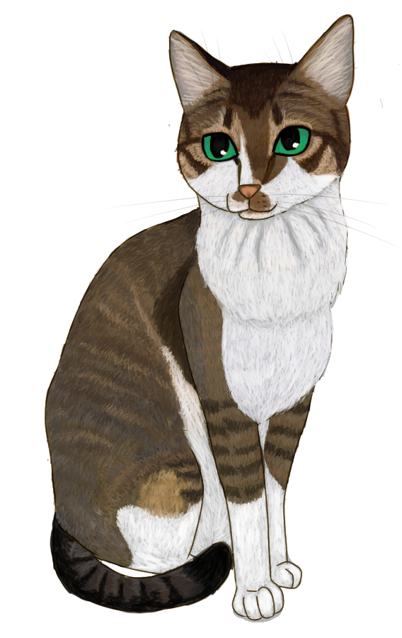 めいなさんの猫さん完成その２.jpg