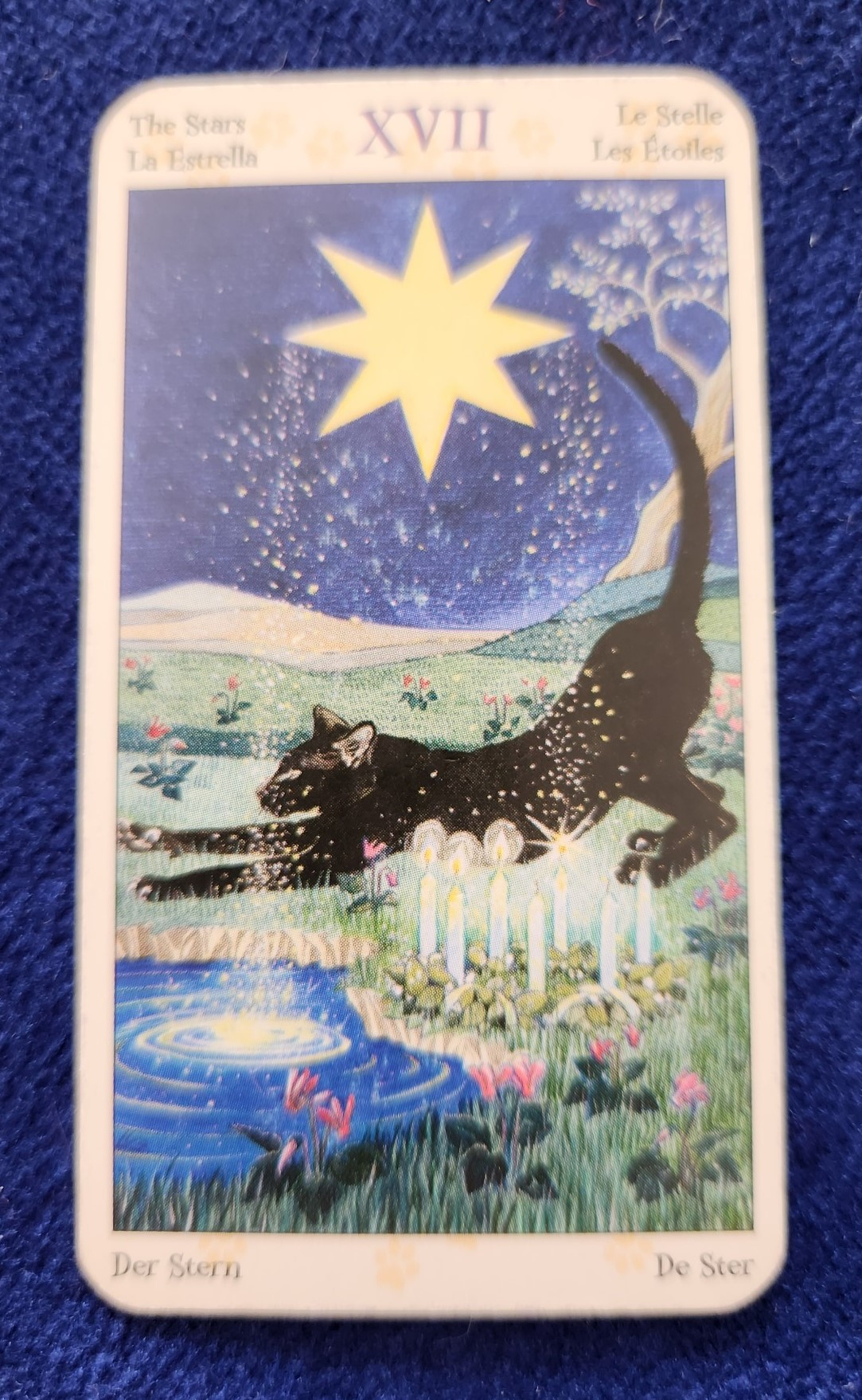 20231203_103910 (002).jpg