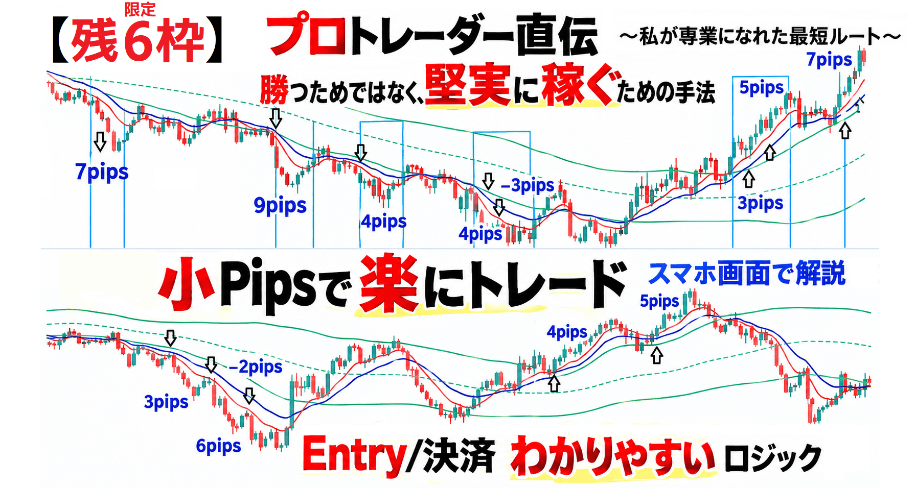 @newlifeFX 限定 sales.png