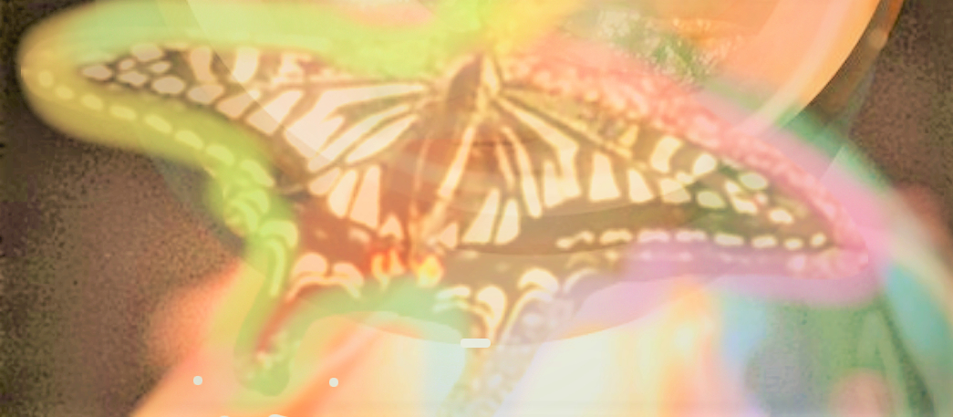 sketch-1649755427395 (5).png