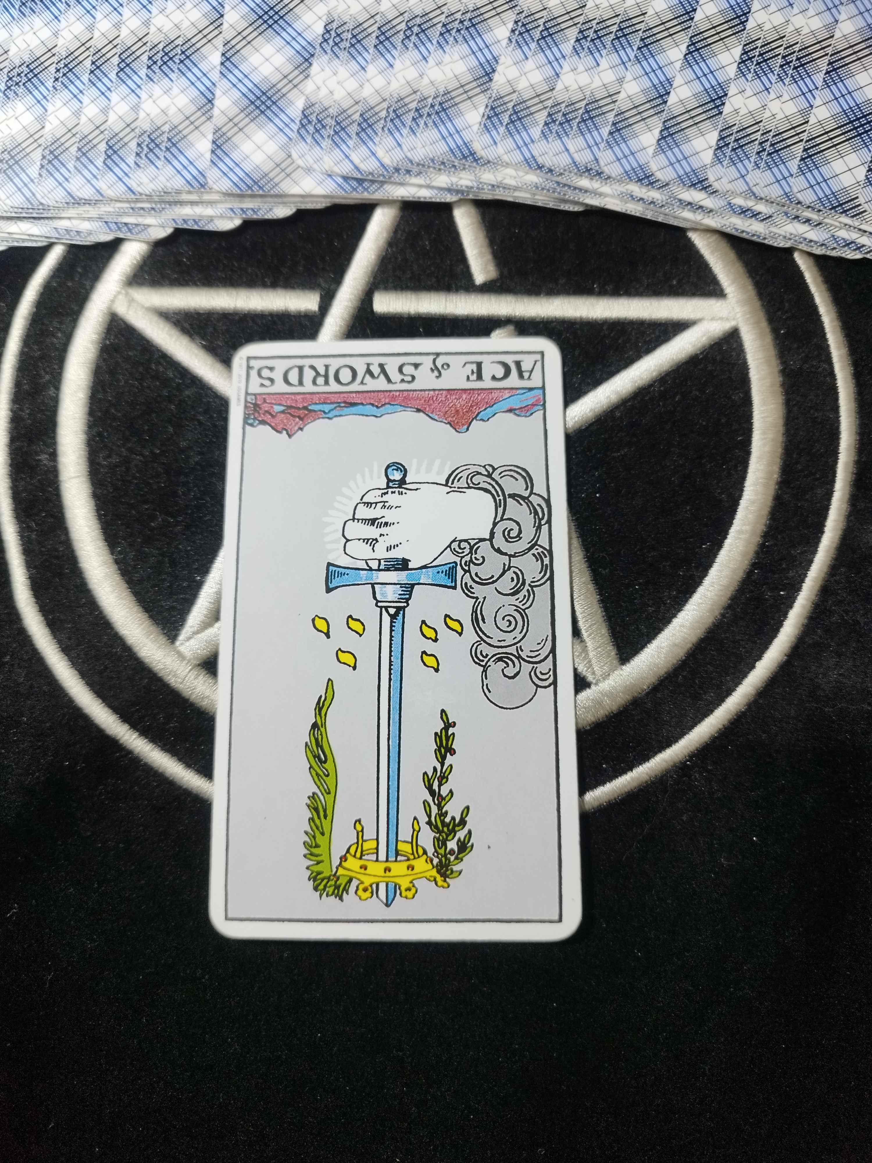 1000033482.jpg