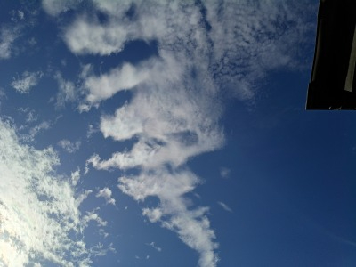 IMG_20261019_091911373_HDR.jpg