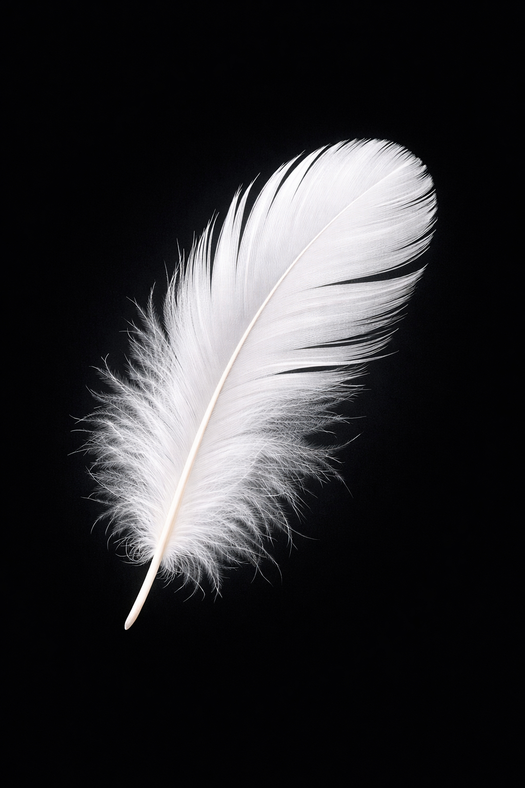 ChatGPT Image 2026年2月2日 11_23_04.png