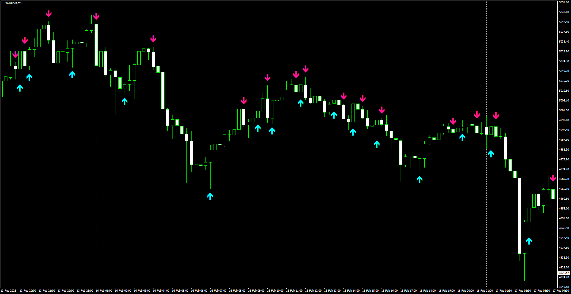 XAUUSD(M15)_2026.02.17_201523.png