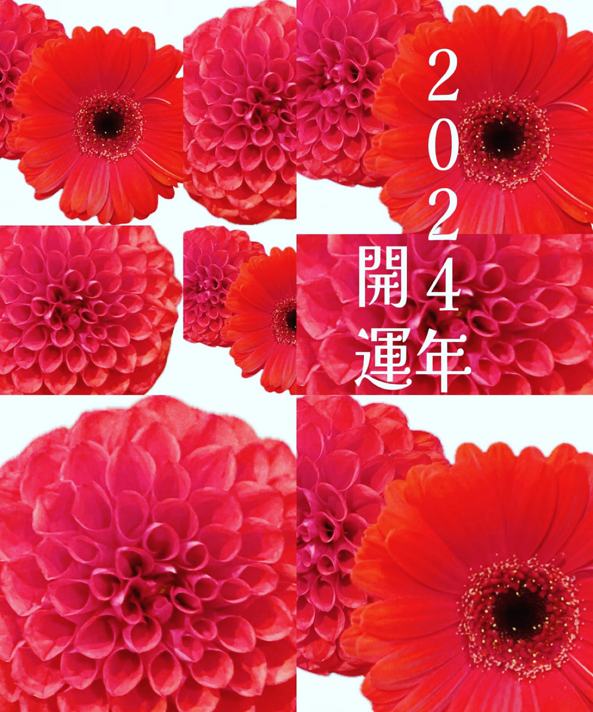 51E9EA65-3F5C-4874-8A8D-347FEAA1ADBB.jpeg