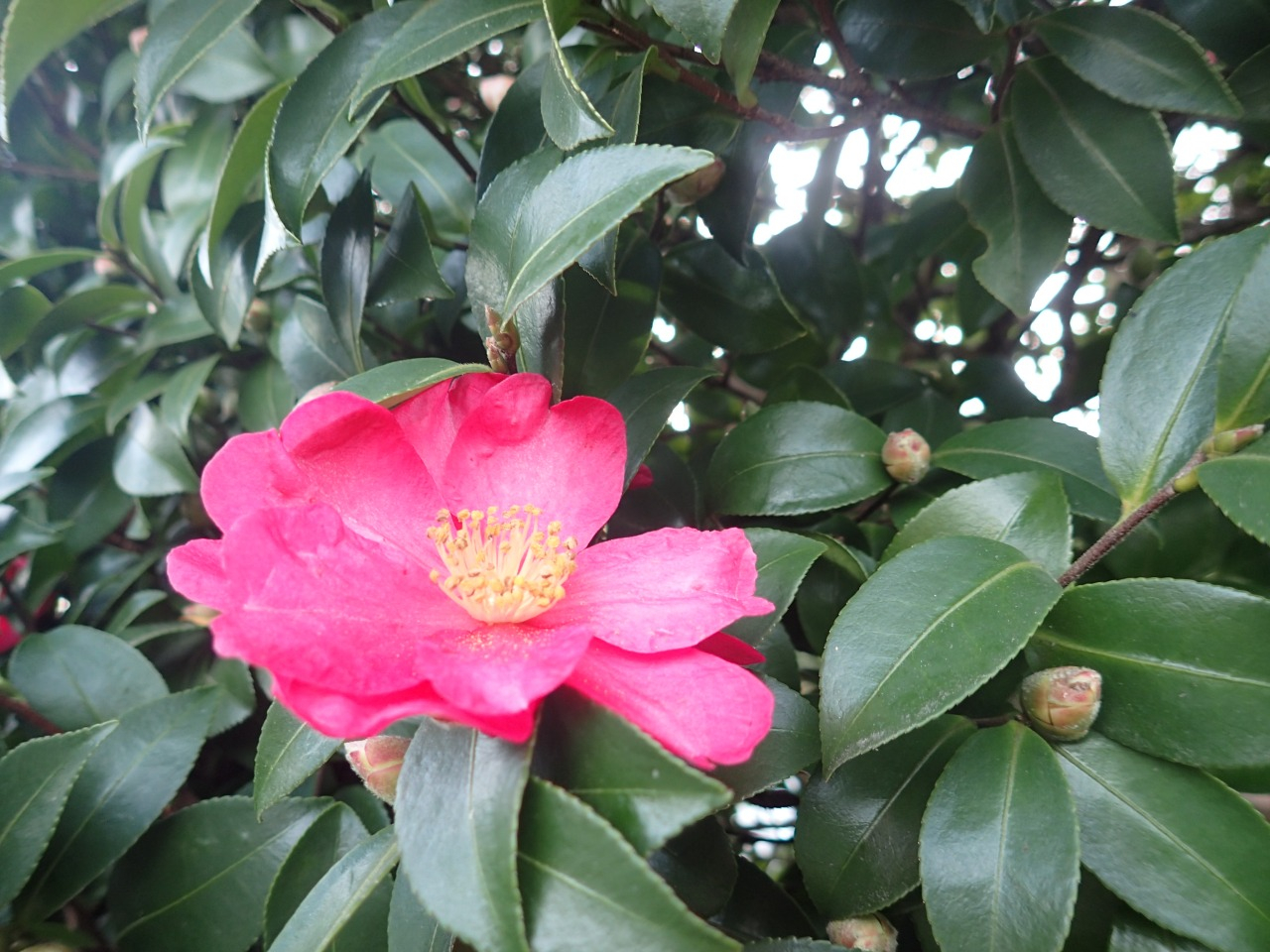 PC160192.JPG