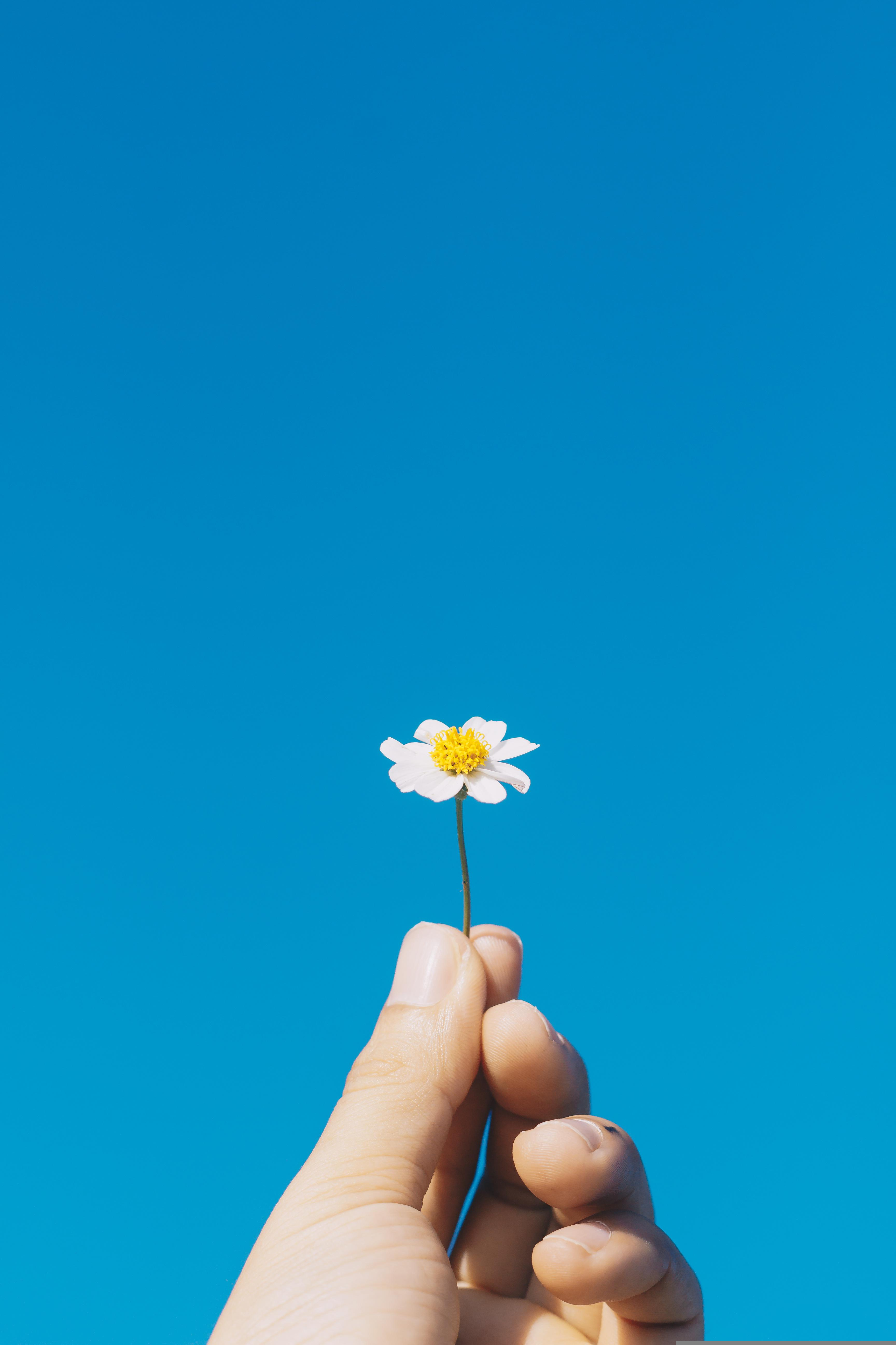 olivier-piquer-AjQK8TIJaic-unsplash.jpg
