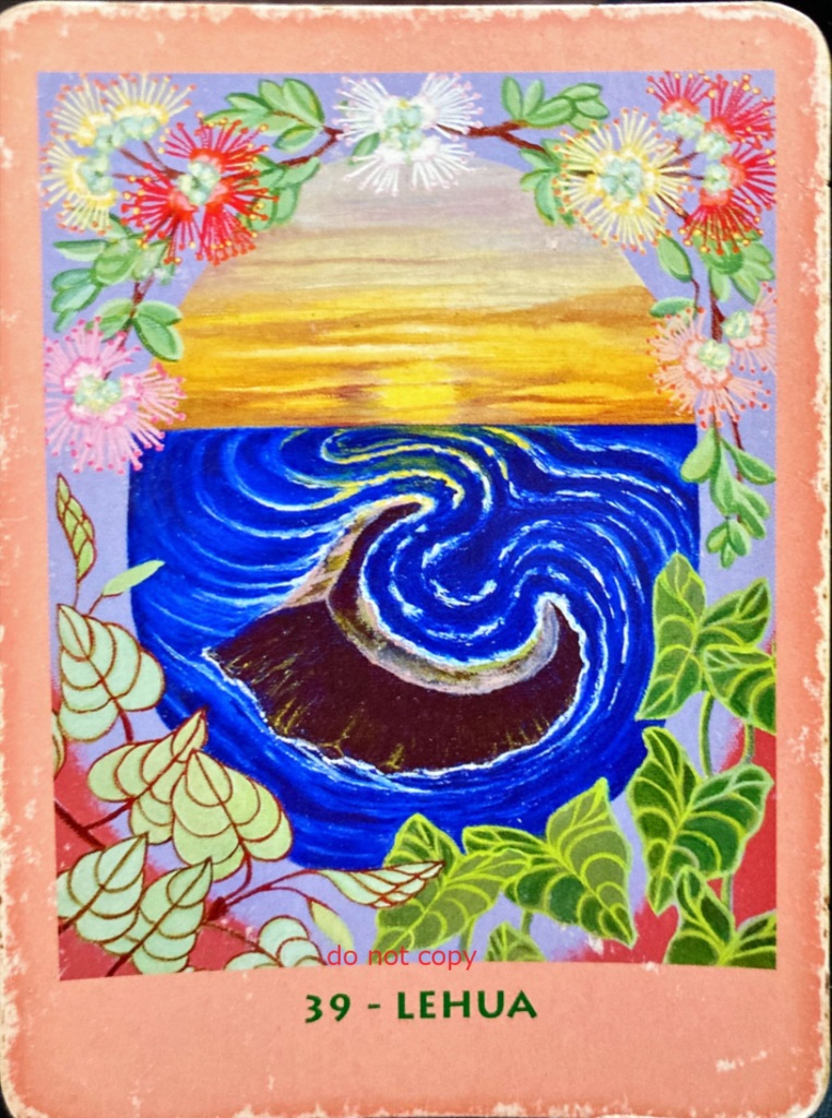 39_lehua.jpg