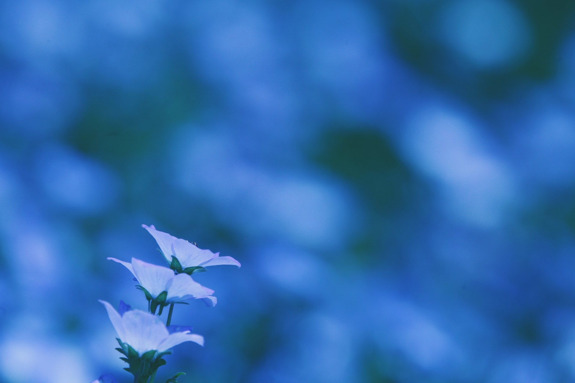 36F4B79F-6E43-4EBB-8F53-2B8AA3D37AEA.jpeg