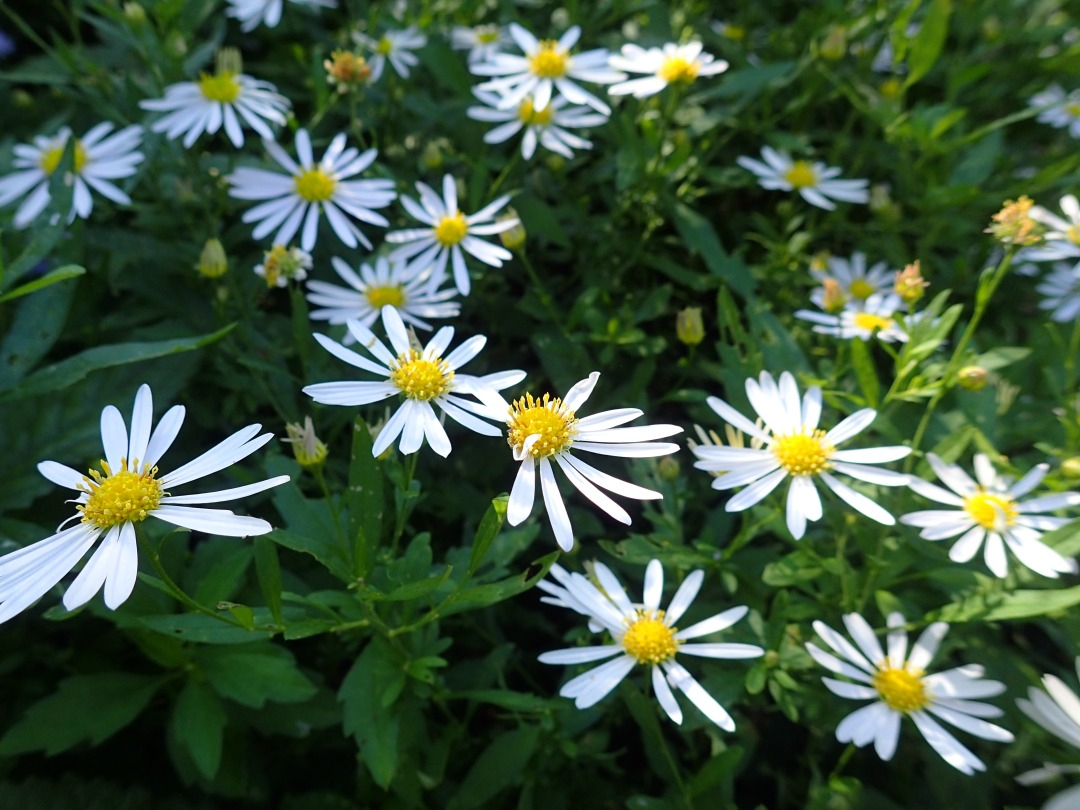 PA100863.JPG