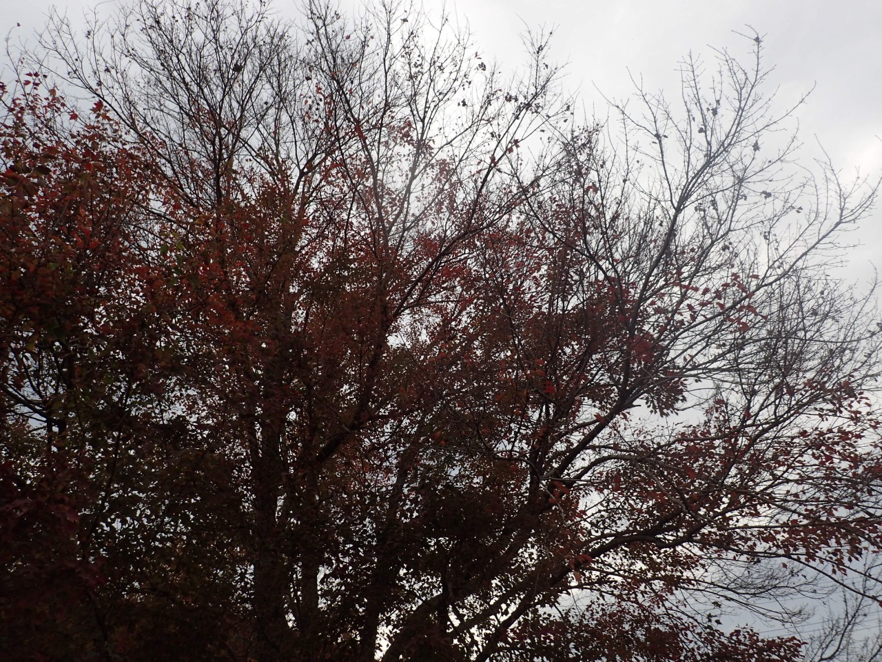 PB130190.JPG