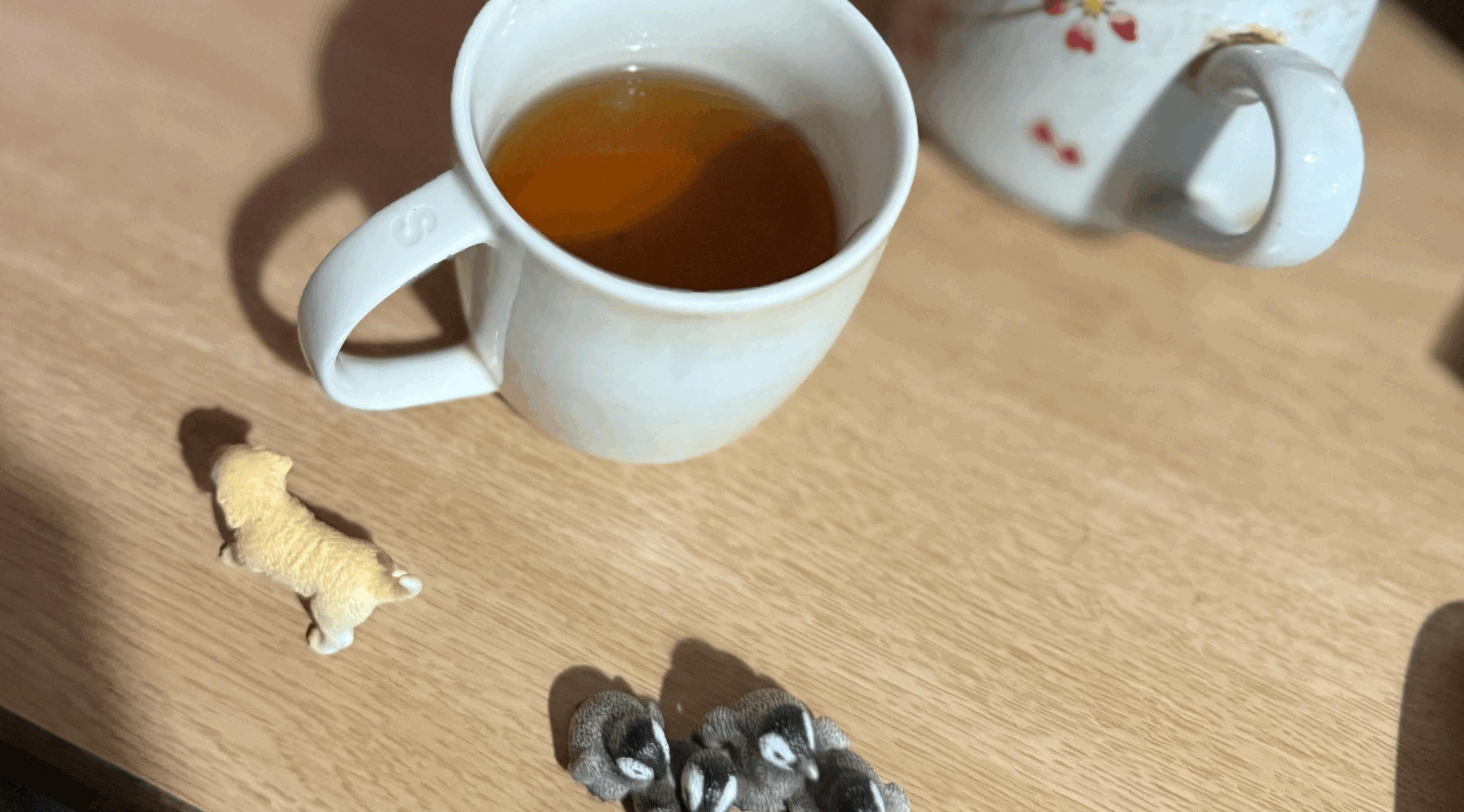 tempImagecM6a8e.gif