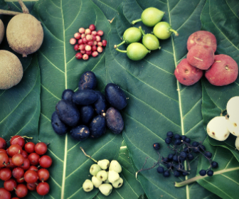 Organic Produce Ad Banner.png