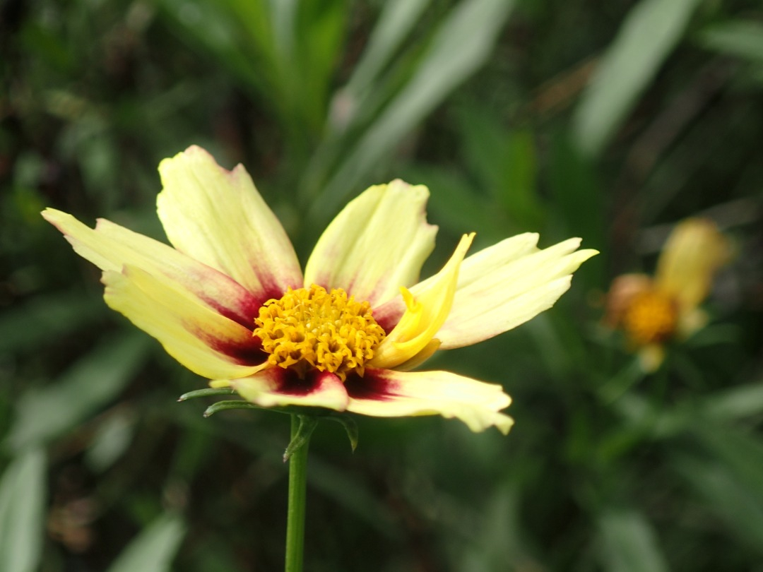 PA120510.JPG