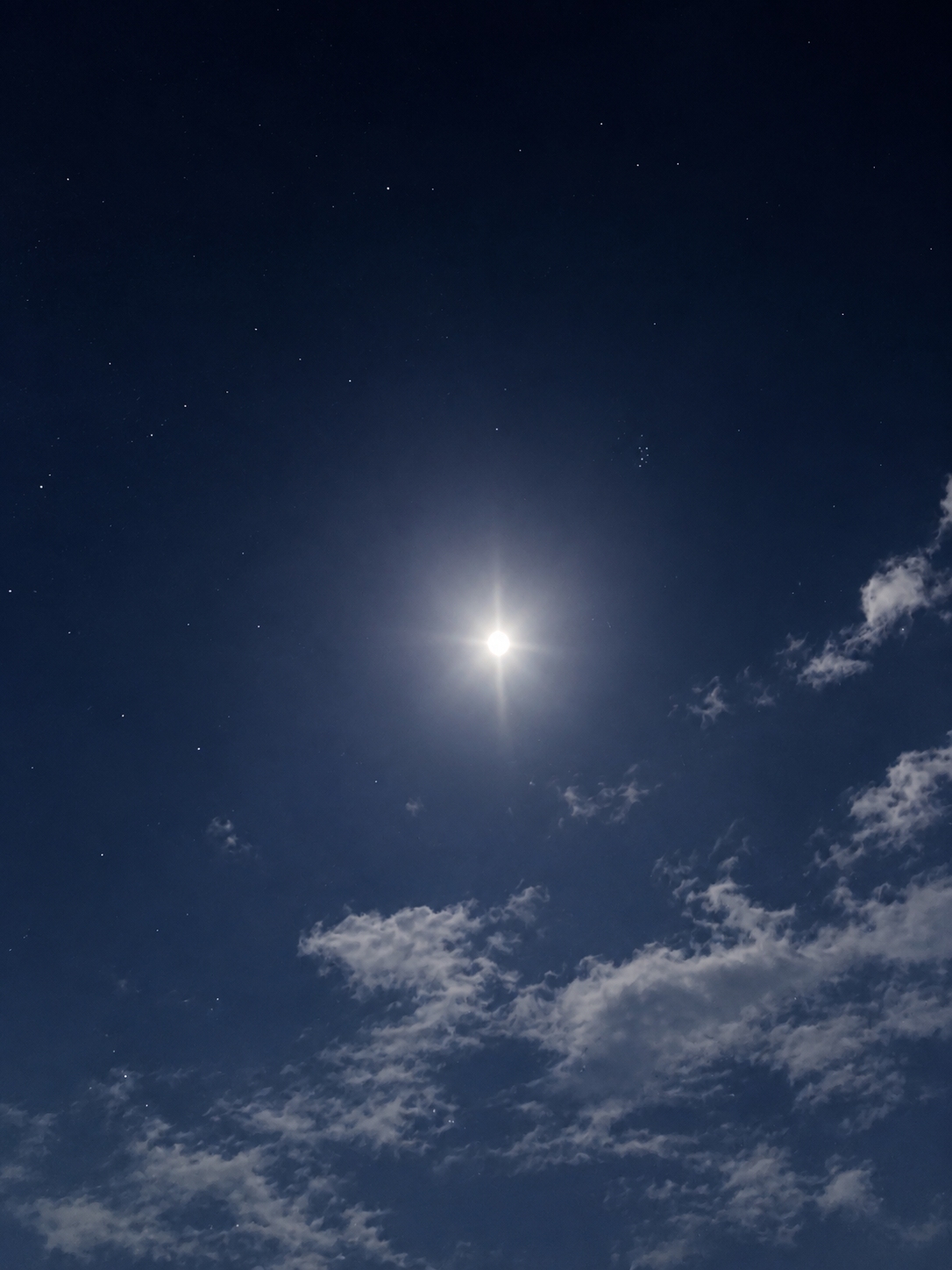 685EE043-35C8-4142-8F90-D87759C2B588.PNG