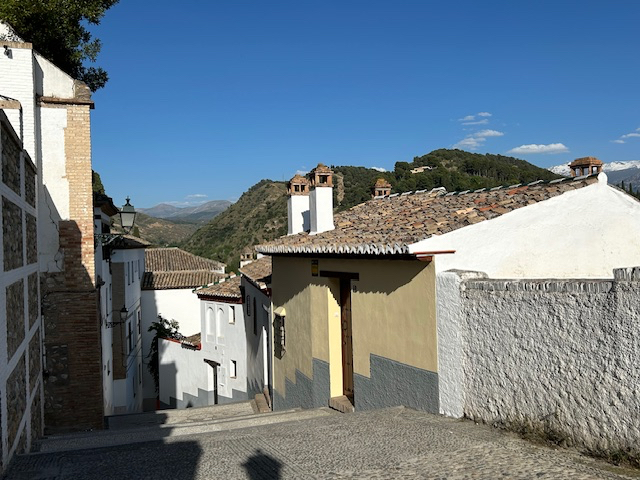 IMG_6116.jpg