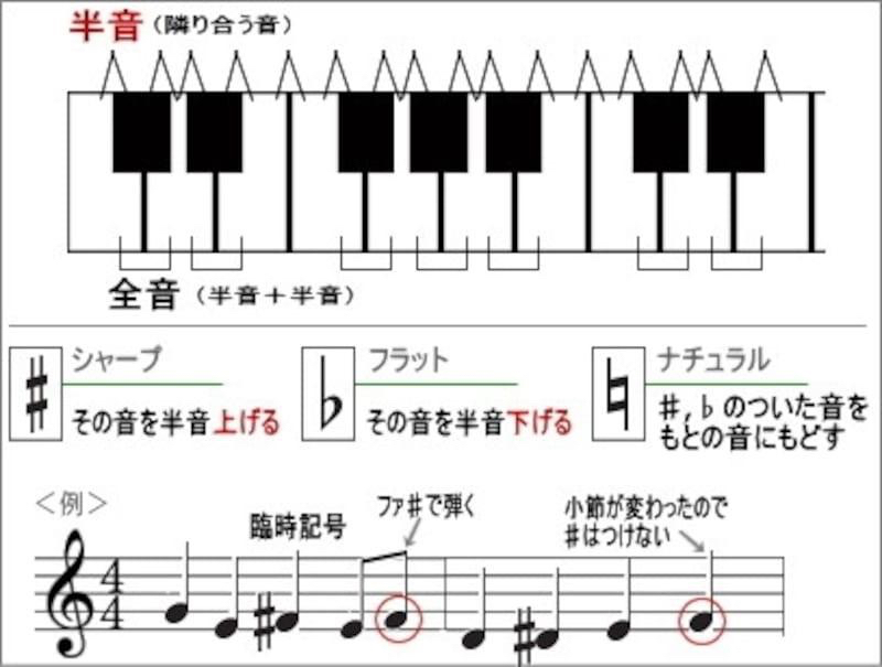 画像 3.jpeg