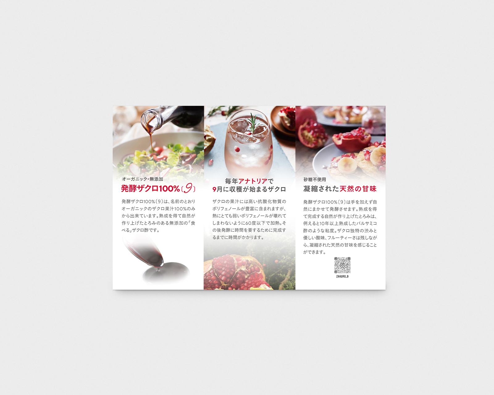 NEO-BLANCO_chirashi-ura.jpg