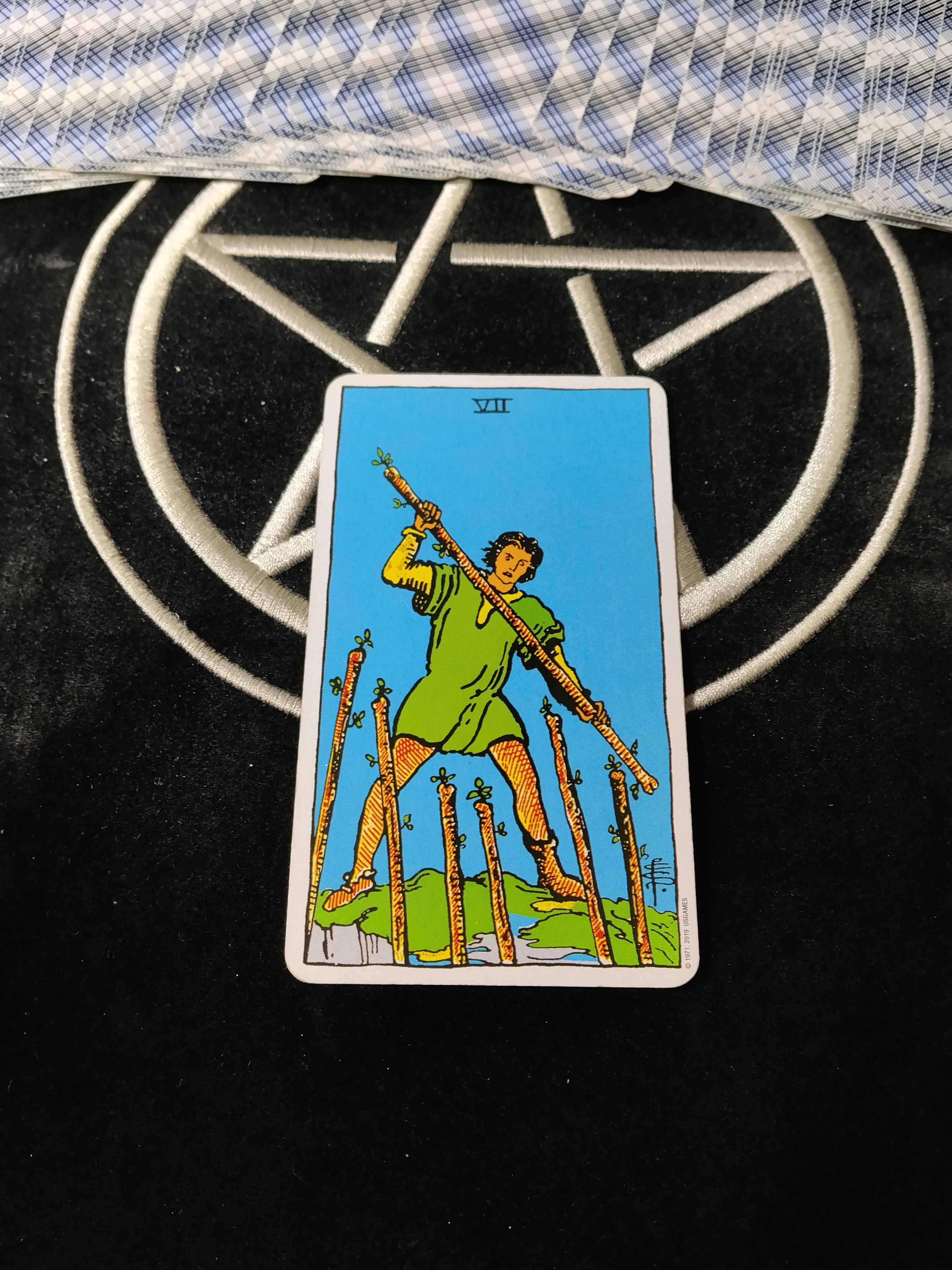 31163.jpg