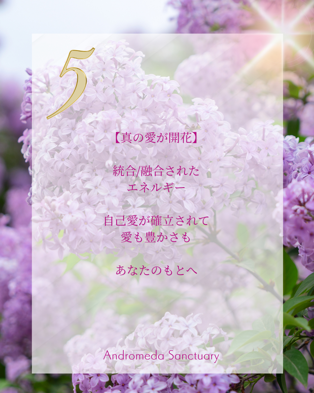 インスタ (Instagramの投稿（45）) (37).png