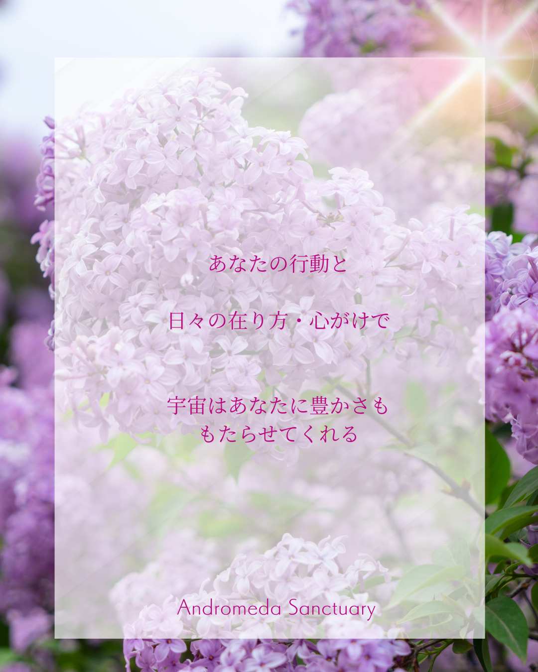 インスタ (Instagramの投稿（45）) (36).png