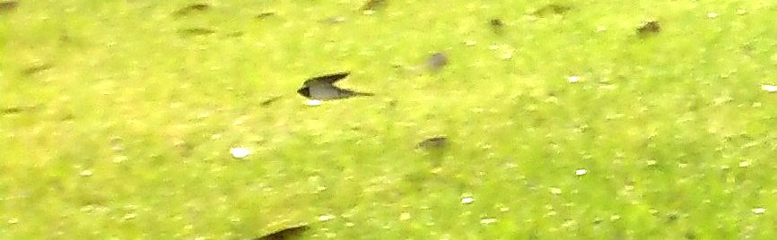 _20230604_154846.JPG