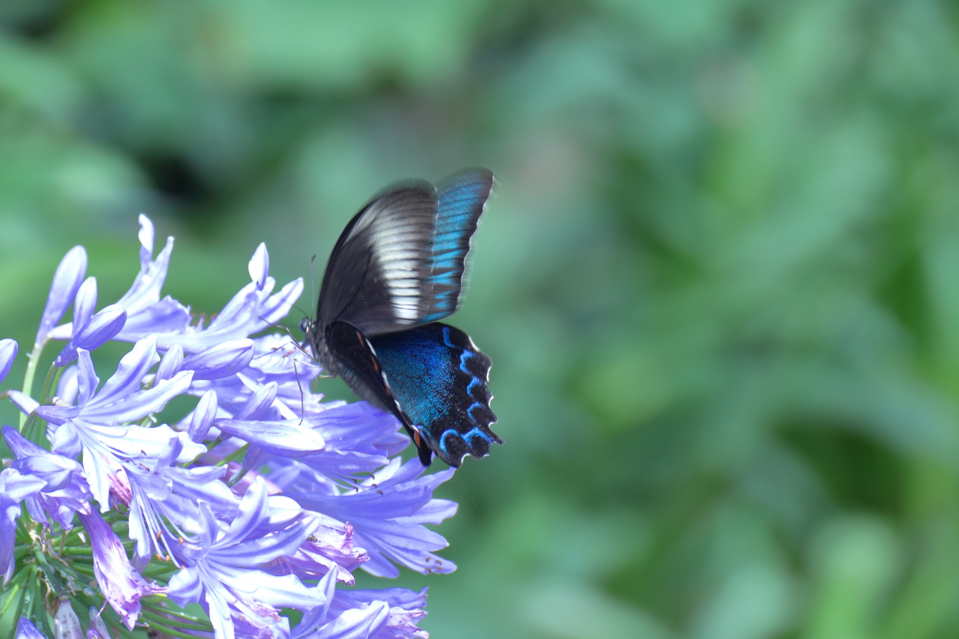F617B077-DB5A-4594-85EF-5CACC5740543.jpeg