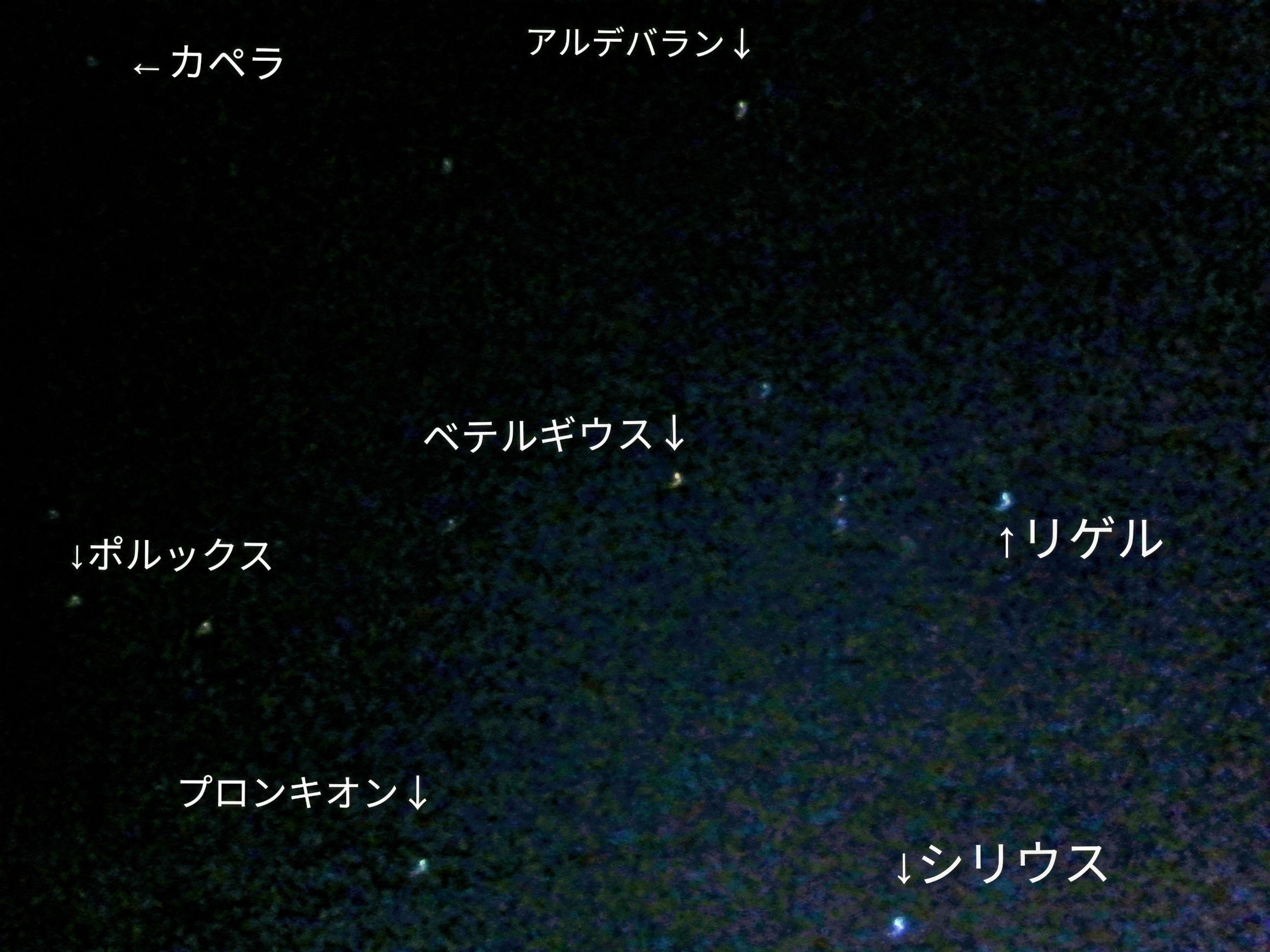 はちまいめ　のあきふゆ.png