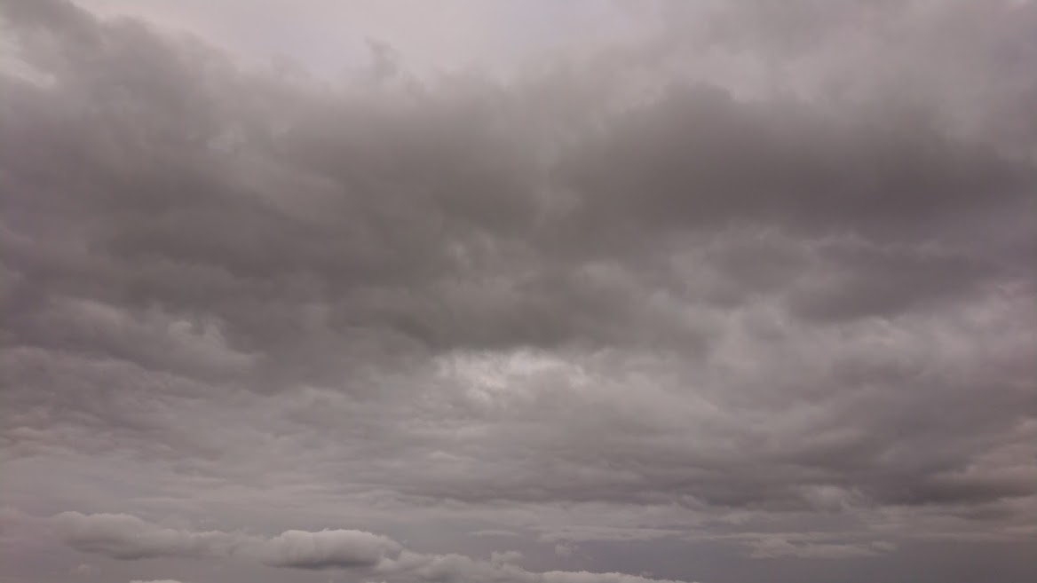 DSC_2796.JPG