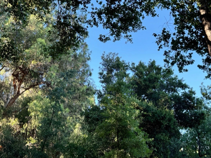 スクリーンショット 2024-06-09 11.34.41.png