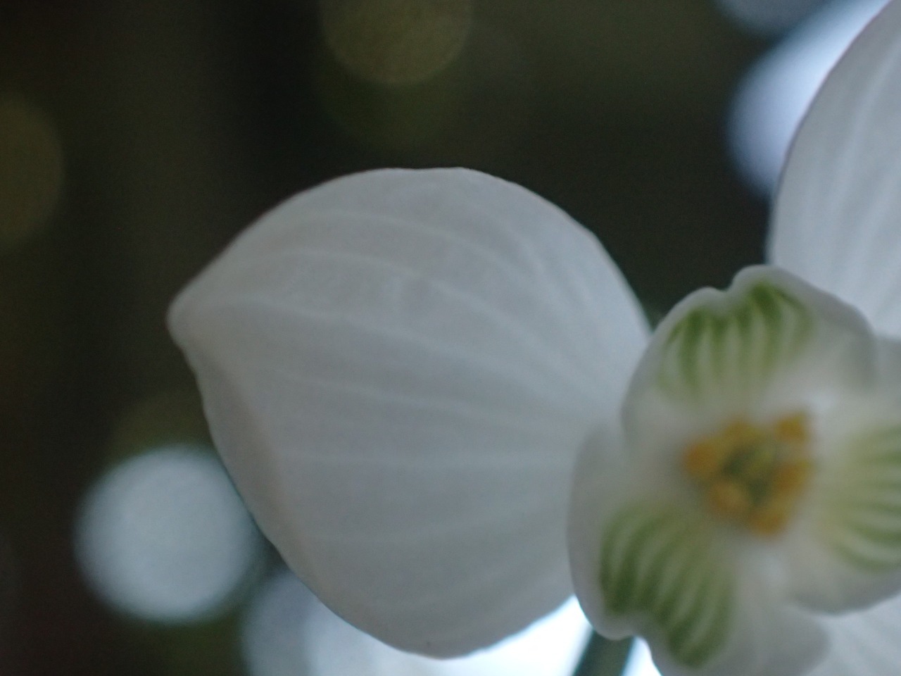 PB160272.JPG