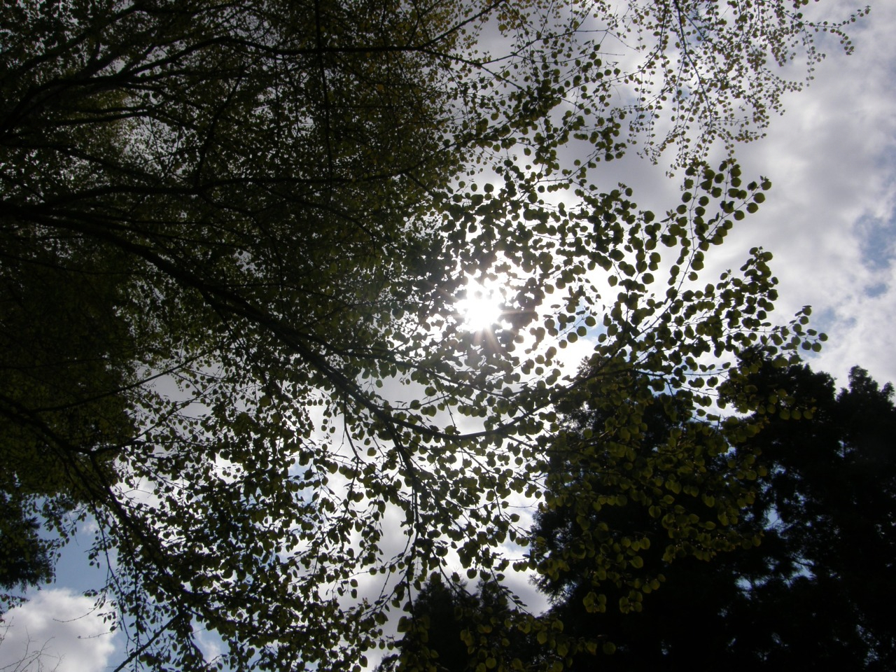 P5040093.JPG