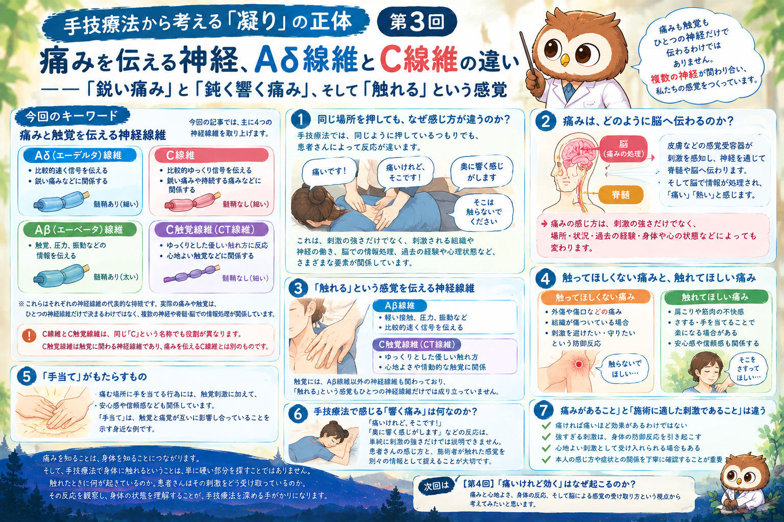 痛みと触覚を知る神経線維図鑑.png