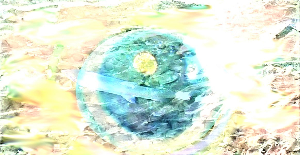 _20230321_115526 (4).JPG