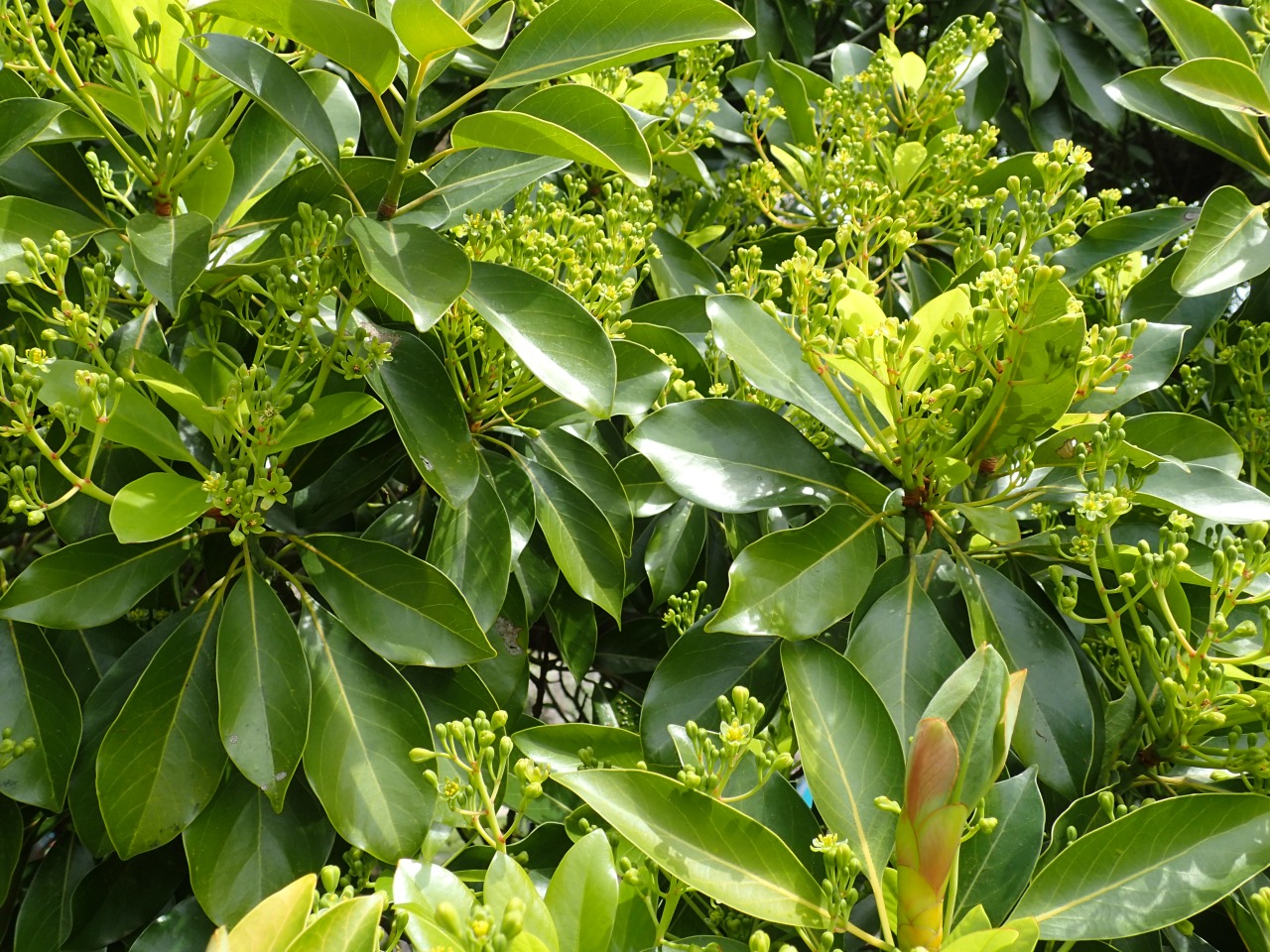 P4130565.JPG