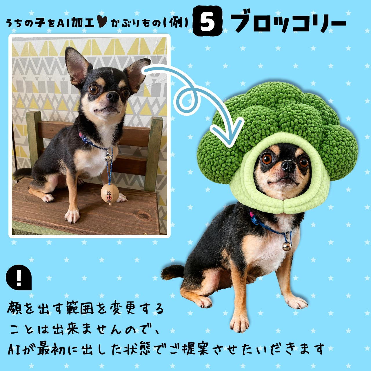 AI_B5_broccoli1.jpg
