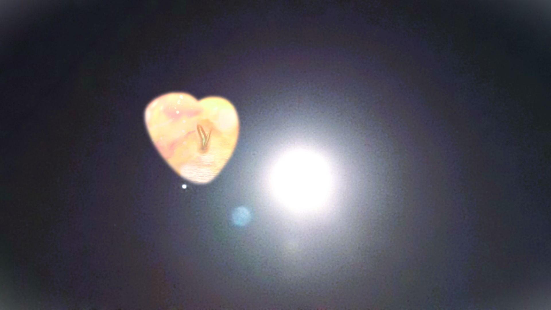 IMG_20240212_1654160022.png