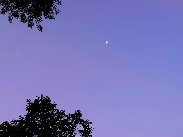 27964484_s.jpg