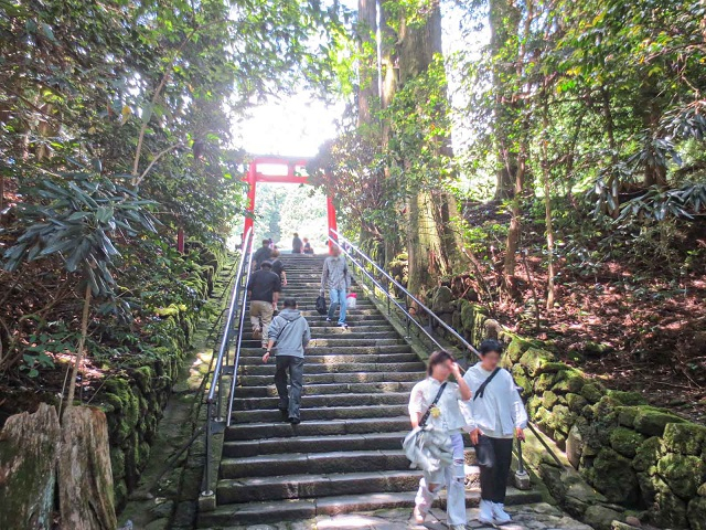 箱根神社_石階段02.jpg