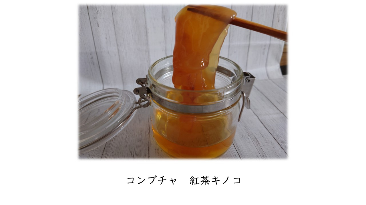 コンブチャ.jpg