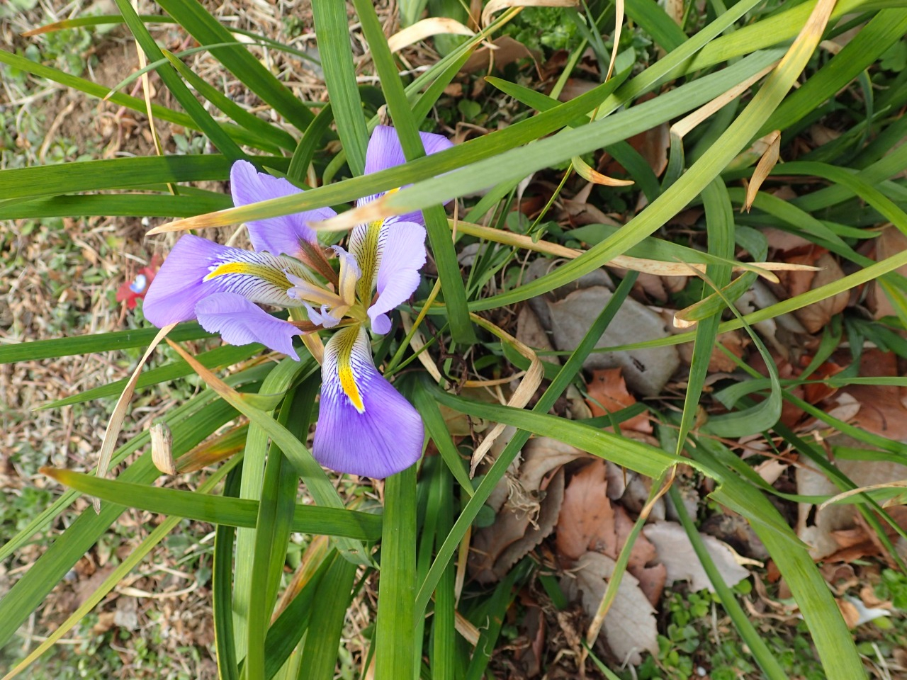 P2180291.JPG