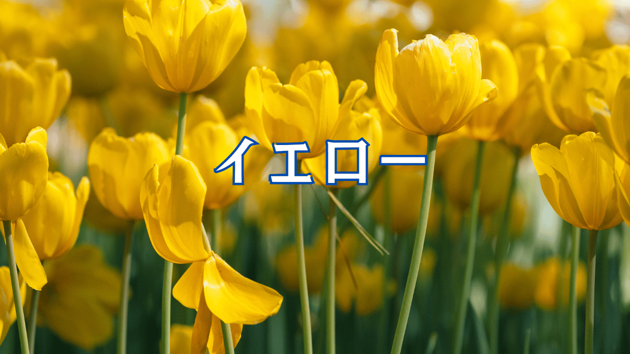 見出しを追加 (50).png