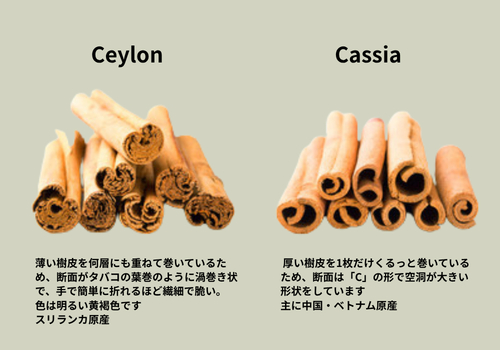 シナモンの種類.png